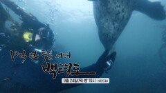 [예고] 10억년 주름 너머 백령도 [야생탐사 프로젝트 와일드맵2] | KBS 방송