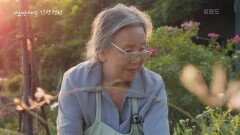 40년 넘게 들꽃정원을 가꿔 온 안홍선 씨 | KBS 221124 방송
