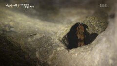 경북 산불, 강원도 폐광 입구 폐쇄, 박쥐의 수난 | KBS 251211 방송 