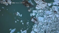 녹는 대가: 위기인가, 기회인가 | KBS 251106 방송 