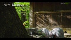 매년 봄과 가을에 성황림에서 지내는 특별한 제사 | KBS 260115 방송 