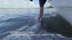 물 위에서 같이 공존해야 하는 방법을 아직 찾지 못했다 | KBS 260319 방송 