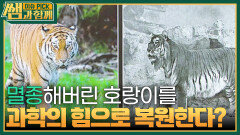 멸종 위기 동물이자 애물단지 고라니 & 멸종 호랑이 복원을 위한 노력 | KBS 240310 방송