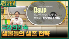 극한 환경 속 생물들의 생존 전략 | KBS 260510 방송 