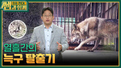 열흘간의 늑구 탈출기 | KBS 260531 방송 