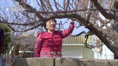 고립된 마을 속에서 피어난 ‘정’의 가치 | KBS 220422 방송