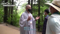 깊고 고요한 평화를 만나는 방법, 월정사 천년숲길을 걷다 | KBS 220916 방송