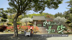 [예고] 산사(山寺), 봄의 맛 | KBS 방송