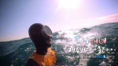 [예고] 도시해녀, 제주 바다에 출근하다 | KBS 방송