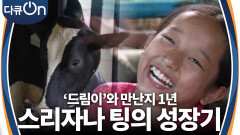 젖소 ‘드림이’와의 만남을 애타게 기다렸던 12살 소녀 스리자나 팅의 성장기 | KBS 240316 방송