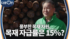 대한민국 목재 자급률 15%, 무엇이 진짜 경쟁력인가? | KBS 241026 방송