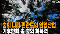 숲의 나라 핀란드의 임업 생태계 | KBS 251025 방송 