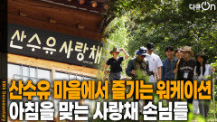 산수유 마을에서 즐기는 워케이션, 아침을 맞는 사랑채 손님들 | KBS 251108 방송 