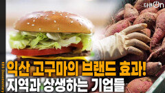  익산 고구마의 브랜드 효과, 지역과 상생하는 기업들 | KBS 251207 방송 