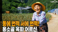 동에 번쩍 서에 번쩍! 엄옥화 어르신 | KBS 260103 방송 