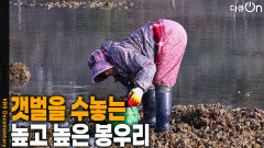 갯벌을 수놓는 높고 높은 봉우리 | KBS 260328 방송 