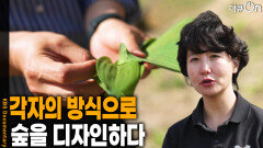각자의 방식으로 숲을 디자인하다 | KBS 260516 방송 