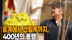 송계에서 산림계까지, 400년의 동행 | KBS 260516 방송 