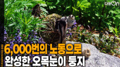 6,000번의 노동으로 완성한 오목눈이 둥지 | KBS 260704 방송 