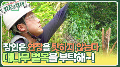 장인은 연장을 탓하지 않는다 대나무 벌목을 부탁해! | KBS 230920 방송