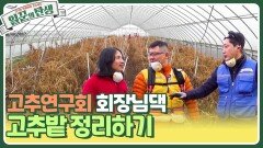 고추연구회 회장님댁 고추밭 정리하기 | KBS 240320 방송