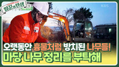 오랫동안 흉물처럼 방치된 나무들! 마당 나무 정리를 부탁해 | KBS 240327 방송