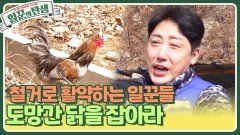 도망간 닭을 잡아라️ 닭장과 하우스 철거로 활약하는 일꾼들️ | KBS 240515 방송