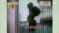 [다섯손가락] 동물의 춤 1위의 주인공은?! | KBS 210908 방송