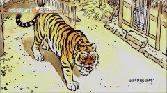 [걸작동물극장] 한반도에 호랑이가 살았었다고~? | KBS 210929 방송