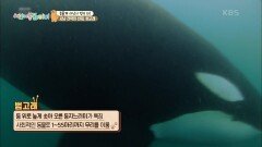 [다섯손가락] 동물계 사냥의 명수 1위의 주인공은?! | KBS 211013 방송