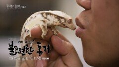 [예고] Am I A Pet? 불편한 동거 | KBS 방송
