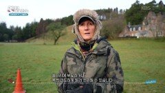 양치기 개들과 천여 마리의 양을 키우다 | KBS 251129 방송
