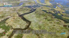 가장 유명한 개방형 습지, 더 슬러프터 | KBS 251223 방송 