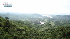 열대우림의 독특한 경관을 볼 수 있는 식물원, 야노다 열대우림 | KBS 251226 방송 