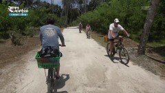 자전거가 유일한 운송수단인 라디그 섬 | KBS 251227 방송 