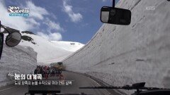 일본의 알프스답게 눈을 깎아만든 설벽이 있는 도야마의 눈의 대계곡 | KBS 260101 방송 
