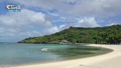 340여 개의 산호 섬으로 이루어진 팔라우 | KBS 260102 방송 