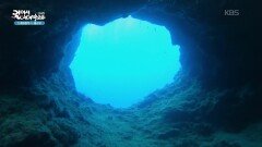 블루 홀에서 만난 수중 생물들 | KBS 260102 방송 