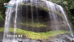 또 다른 매력을 가진 팔라우의 숲, 가르드마우 | KBS 260102 방송 