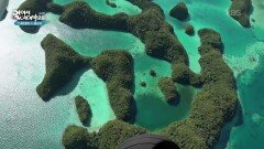 배가 아닌 경비행기를 타야지만 갈 수 있는 세븐티 아일랜드 | KBS 260102 방송 