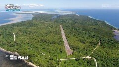 전쟁의 아픔을 간직하고 있는 팔라우 | KBS 260102 방송 