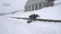 폭설과 거센 바람이 멈추지 않는 클락스비크 | KBS 260108 방송 