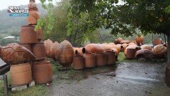 와인을 저장하고 숙성하는 항아리, 크베브리 장인의 작업장에 방문하다! | KBS 260109 방송 