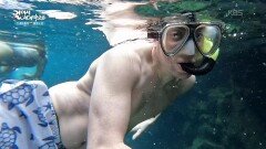 갈라파고스의 물속은 어떨까? | KBS 260114 방송 