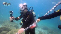 스쿠버다이빙으로 갈라파고스를 즐기는 사람들 | KBS 260114 방송 