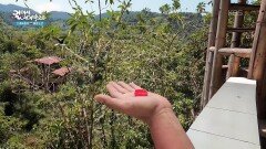 열대우림이 우거진 민도 ＂벌새 투어도 인기가 많다＂ | KBS 260114 방송 