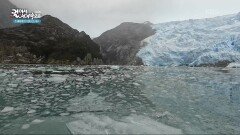 파타고니아 바다에서 만난 자연 | KBS 260116 방송 