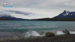 예측 불가능한 자연에 매료된 사람들 | KBS 260116 방송 