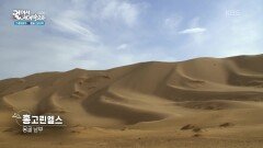 노래하는 모래라는 별명을 가진 사막, 홍고린엘스 | KBS 260123 방송 