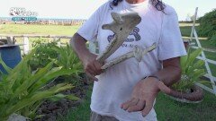 집 마당 화단에 죽은 말의 뼈를 보관하는 주민 | KBS 260124 방송 